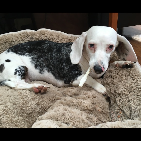 ⚠️ CAUTION! ⚠️ - Picture 4 of 7